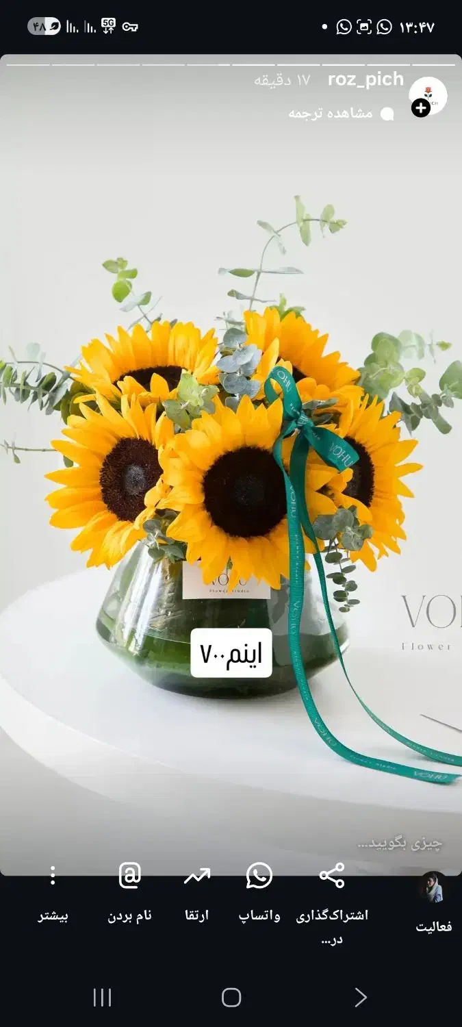 باکس وجار گل افتابگردون|گل و گیاه طبیعی|اصفهان, باغ زرشک|دیوار