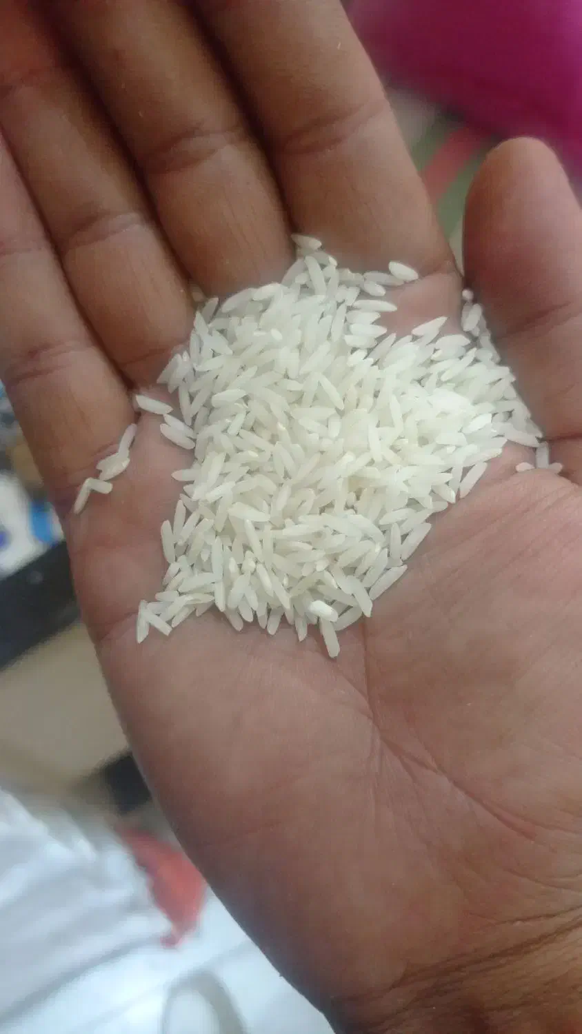 برنج هاشمی دوالکه اصل استانه 280|خوردنی و آشامیدنی|لاهیجان, بازکیاگوراب|دیوار