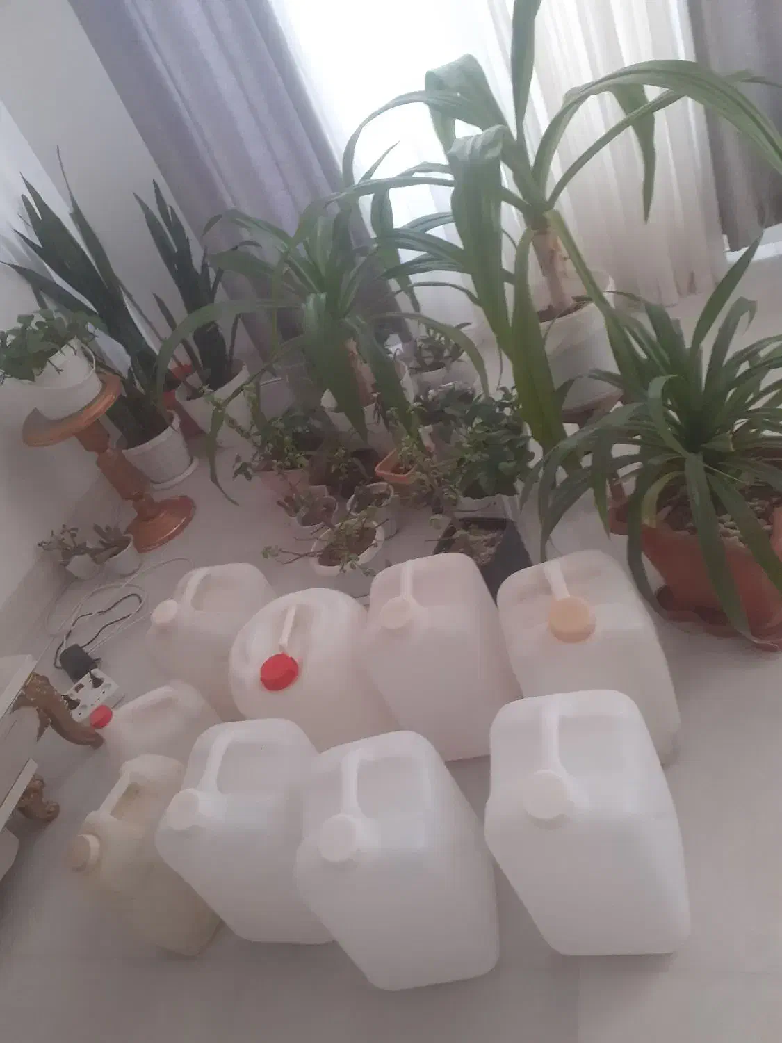 فروش بطری اب ۲۰ لیتری|ظروف نگهدارنده، پلاستیکی، یک‌بارمصرف|مرودشت, فاز دوم شهرک فرهنگیان|دیوار