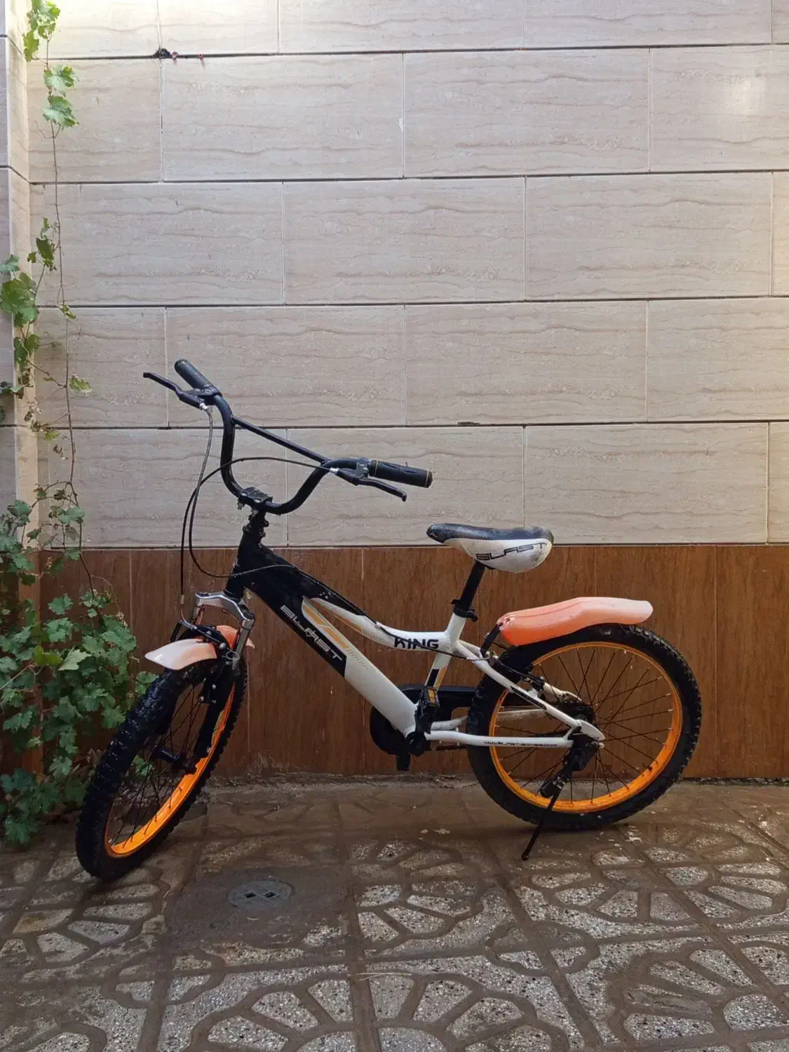 دوچرخه 20|دوچرخه، اسکیت، اسکوتر|تربتحیدریه, یحیی آباد|دیوار