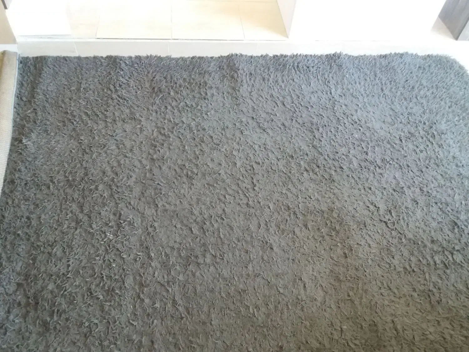 فرش شگی ۶ متری طوسی درحدنو|فرش|کرمانشاه, |دیوار