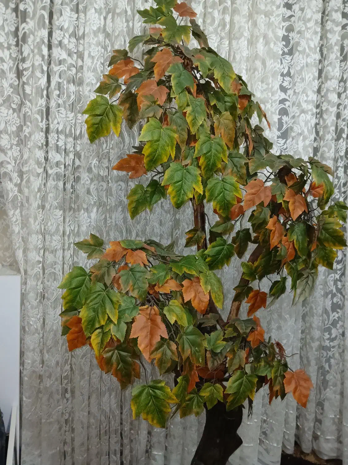درختچه دکوری|گل مصنوعی|اراک, |دیوار