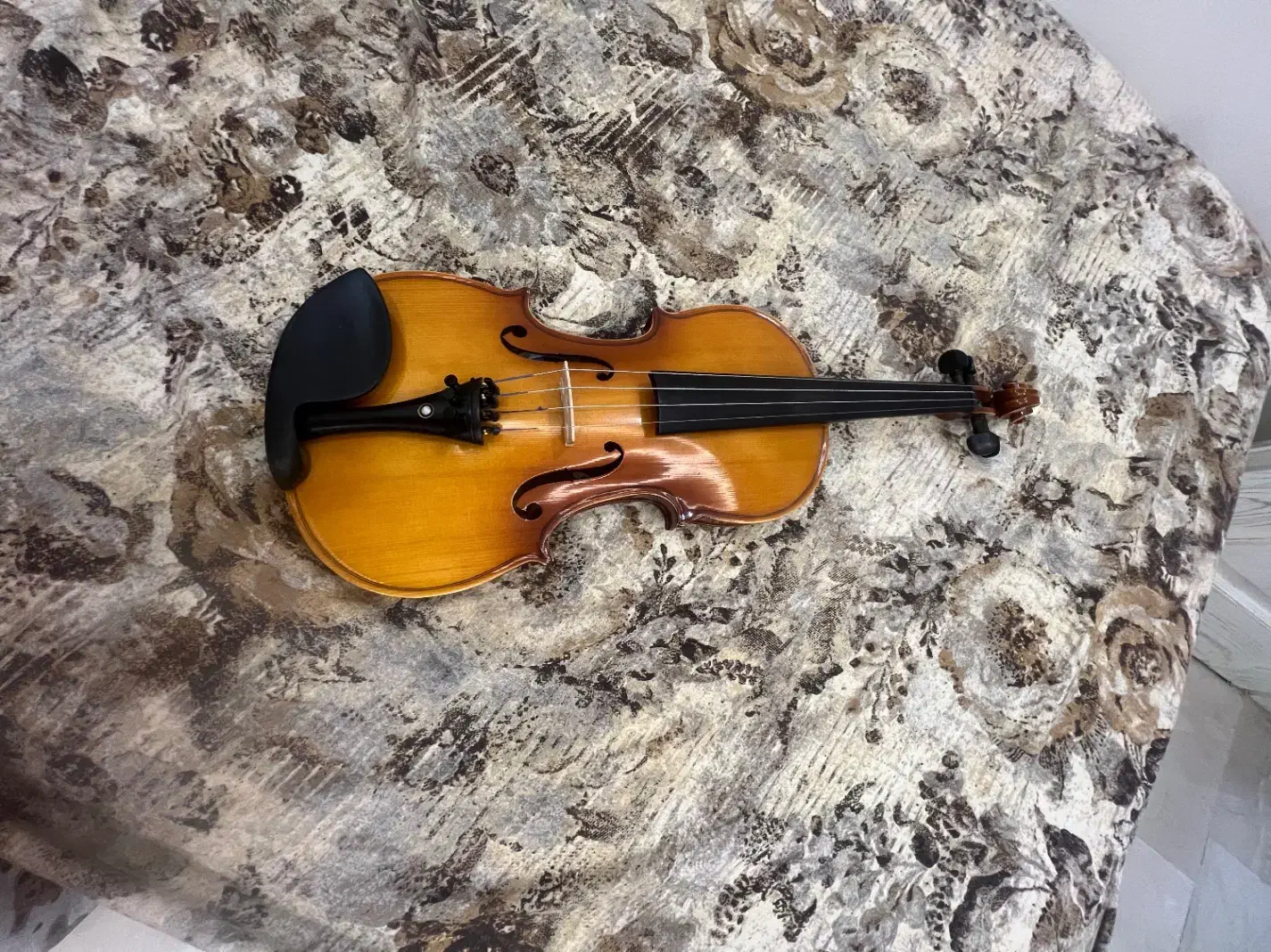 ویلیون|ویولن|تهران, شهران جنوبی|دیوار