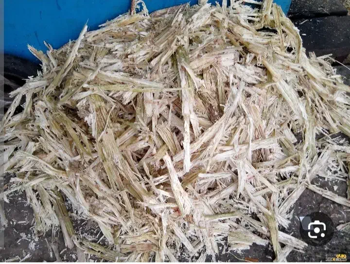 تفاله نیشکر|عمده‌فروشی|اراک, |دیوار