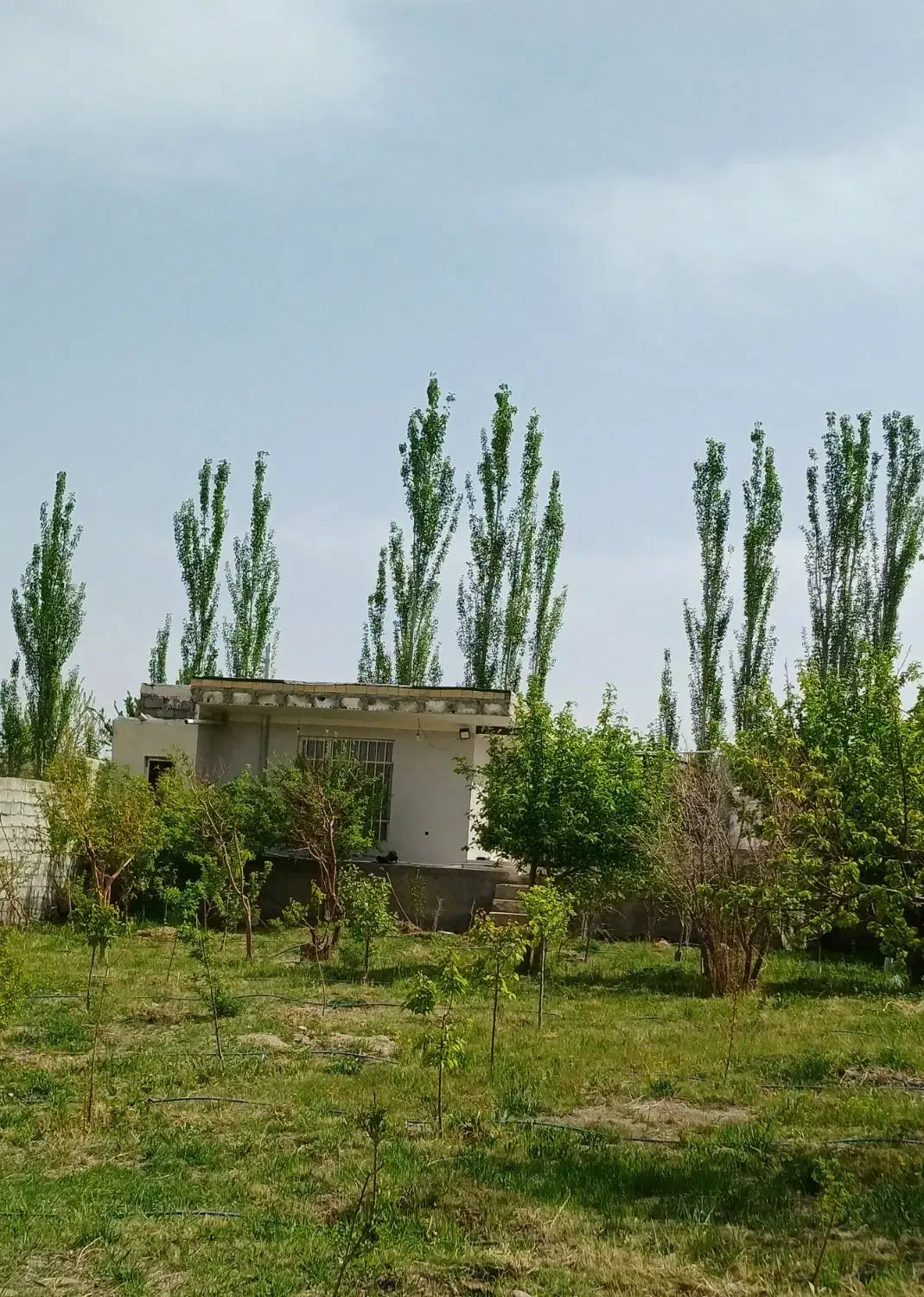 باغ ویلا ،سد امند|فروش خانه و ویلا|صوفیان, |دیوار