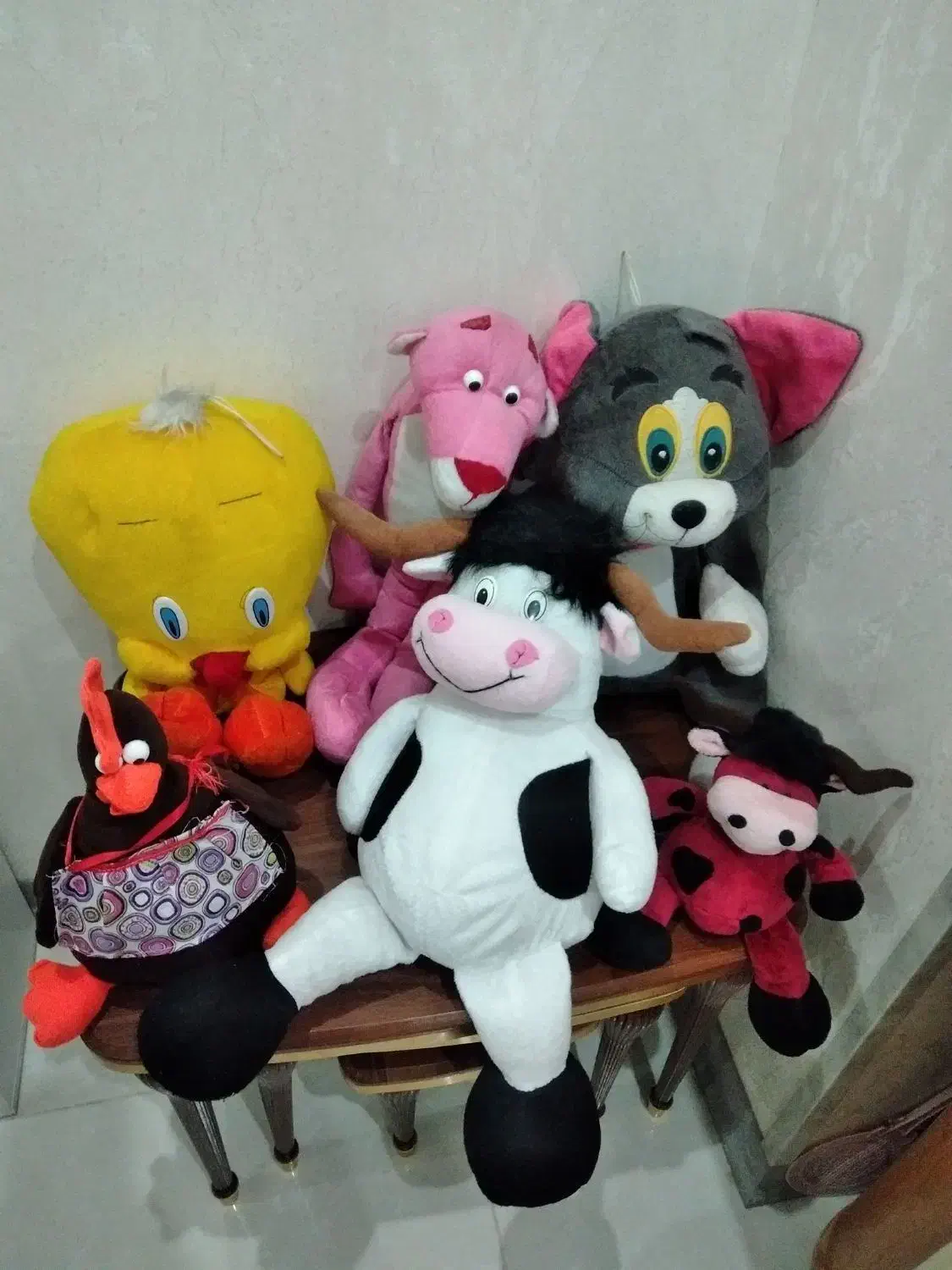 عروسک|اسباببازی بچه|قزوین, |دیوار