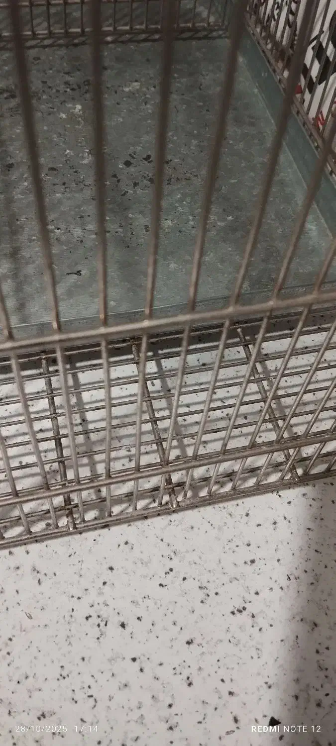 قفس صفایی سهره|لوازم جانبی حیوانات|ری, شهید غیوری (ابن باویه)|دیوار