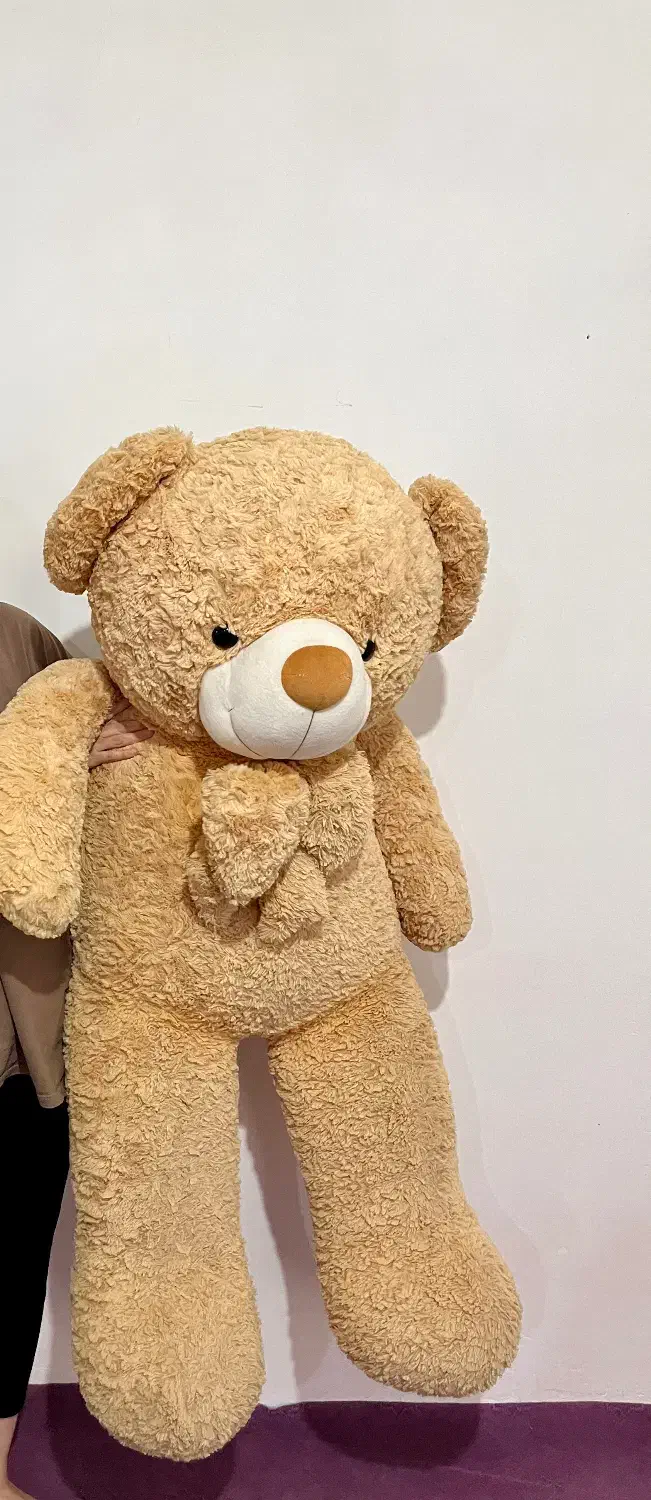 خرس بزرگ|اسباب‌‌بازی|زنجان, |دیوار