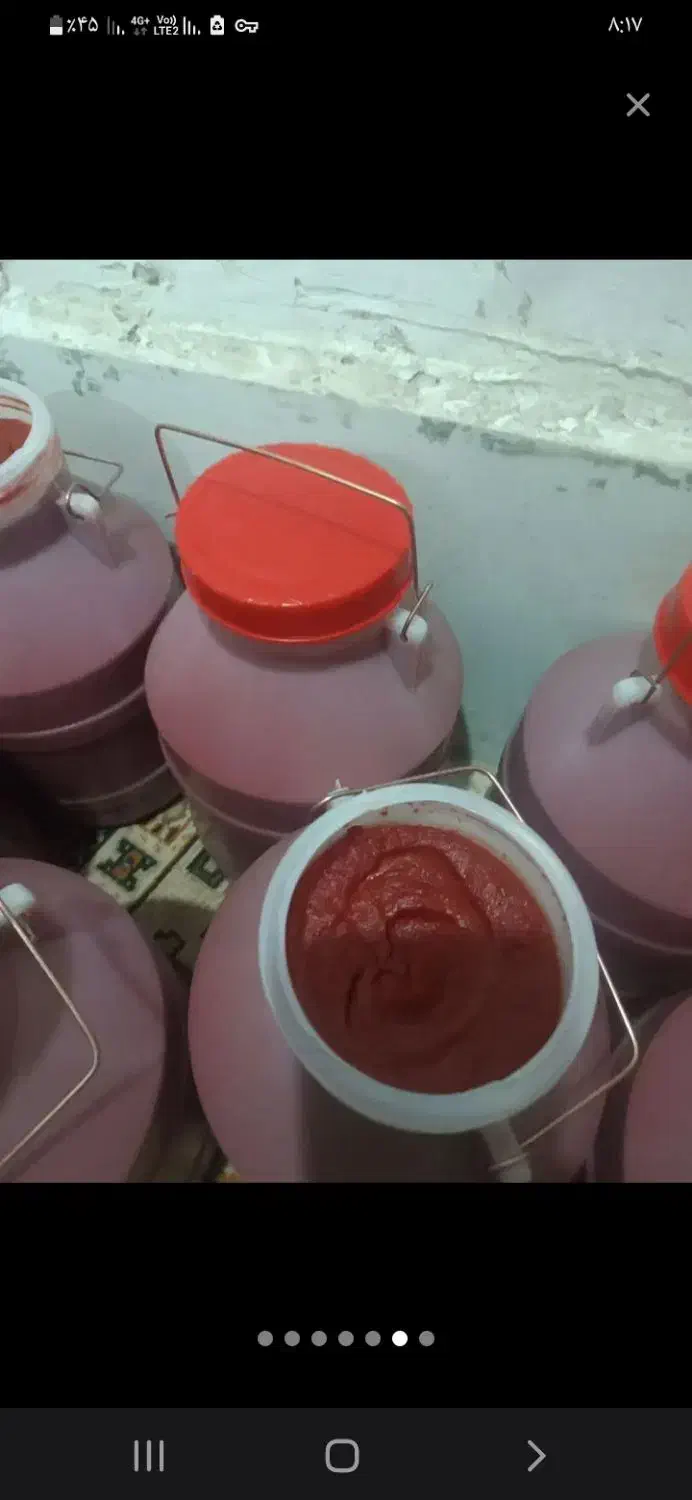 رب  با قیمت ۴۵۰هزار تومان|خوردنی و آشامیدنی|تربت‌حیدریه, شهرک ولیعصر|دیوار