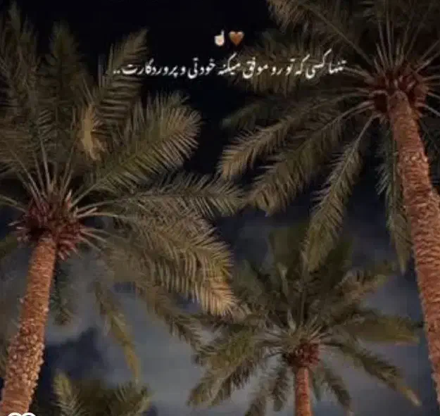 زدن پاجوش حرص نخل و باغ|خدمات باغبانی و درختکاری|داراب, |دیوار