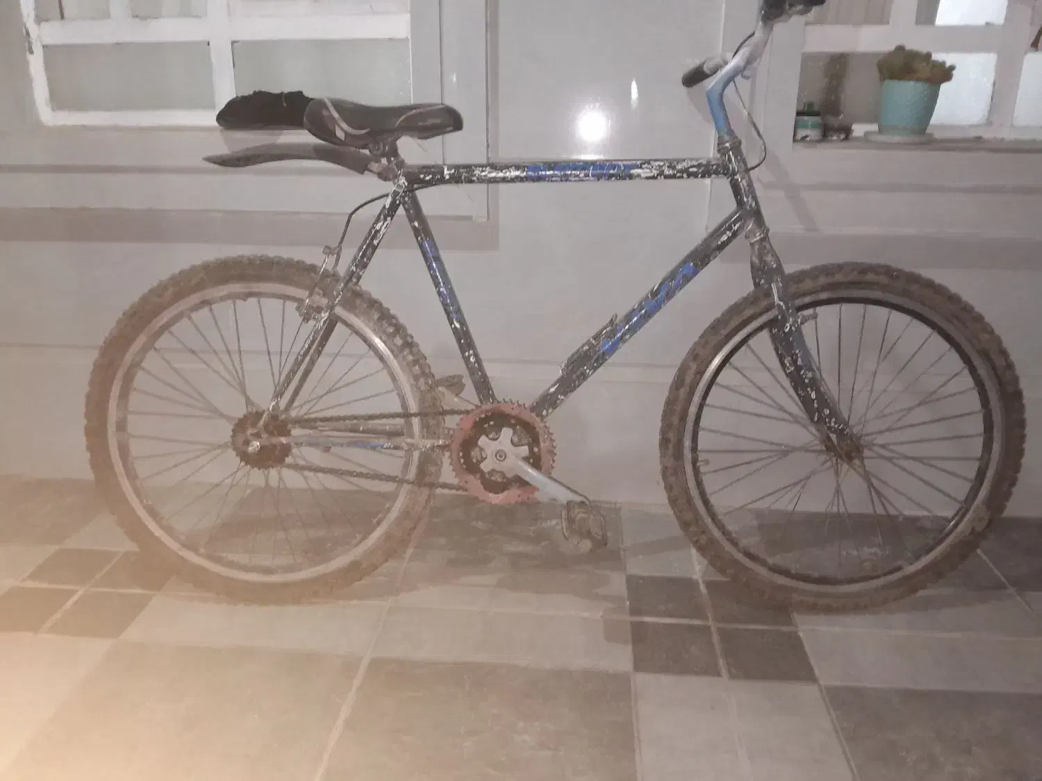 دوچرخه ۲۶|دوچرخه، اسکیت، اسکوتر|الشتر, |دیوار