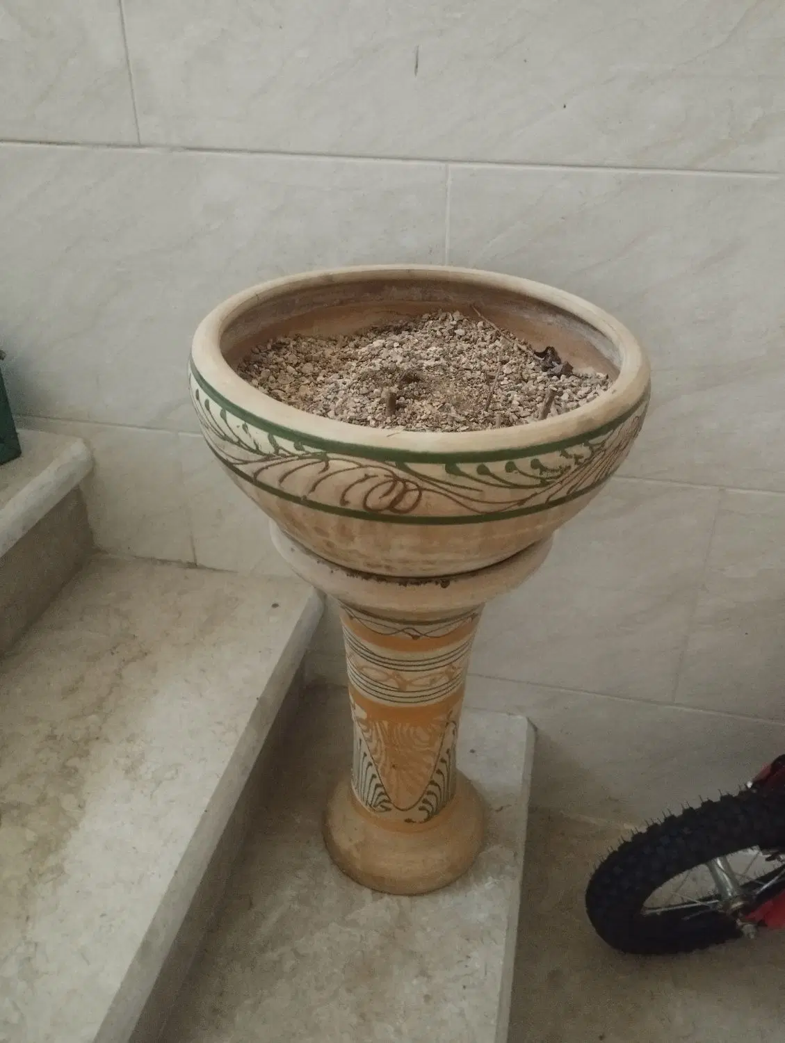 گلدان|گل و گیاه طبیعی|شیراز, احمدآباد|دیوار