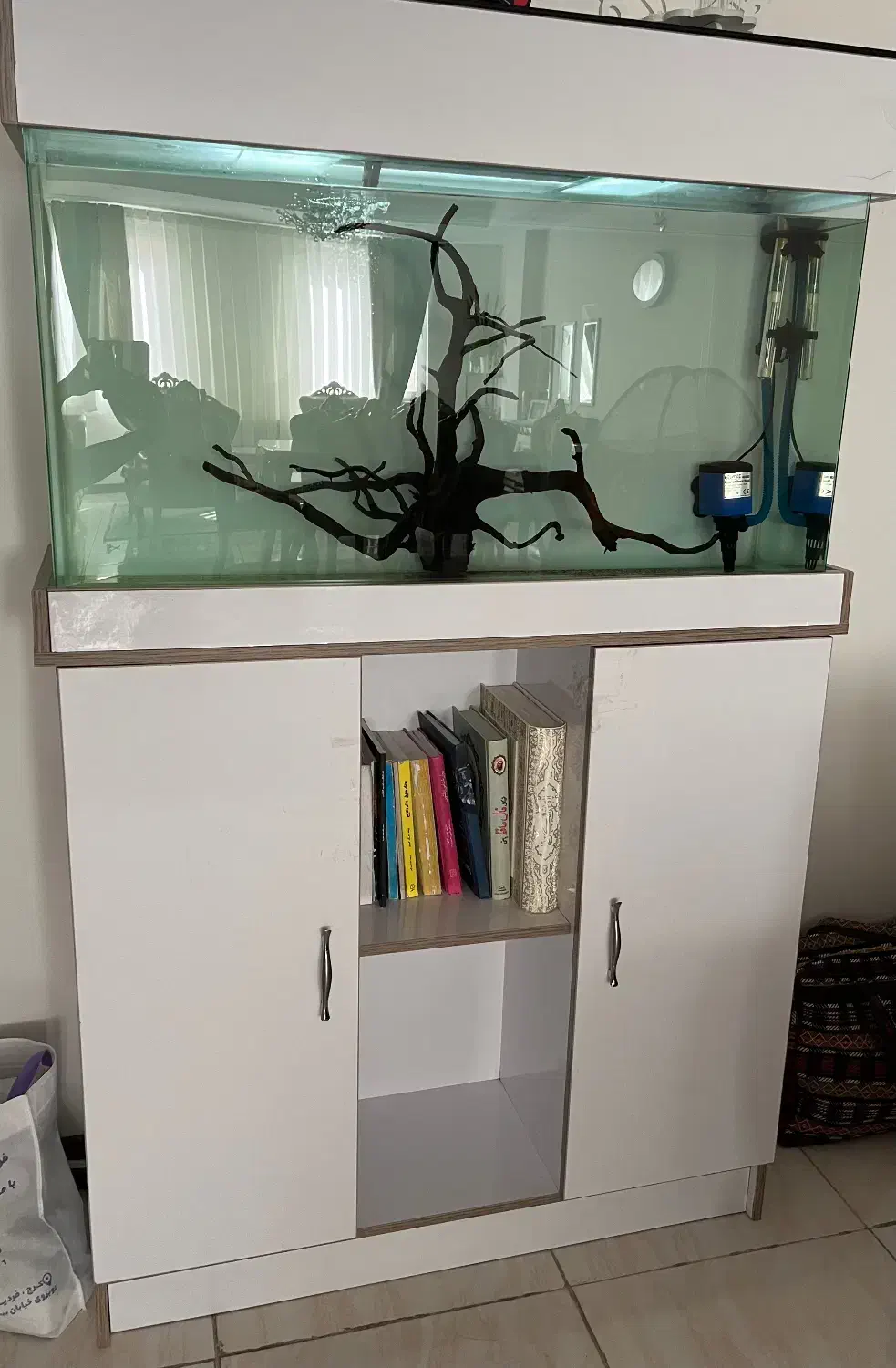 آکواریوم ماهی|ماهی|فردیس, داوری|دیوار