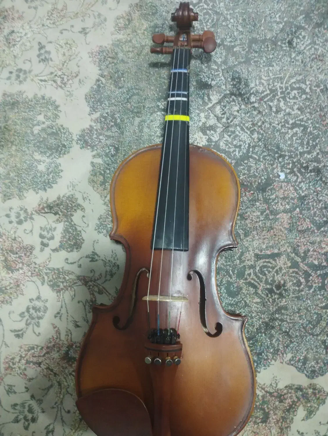 ویولن|ویولن|رشت, شهرک قدس|دیوار