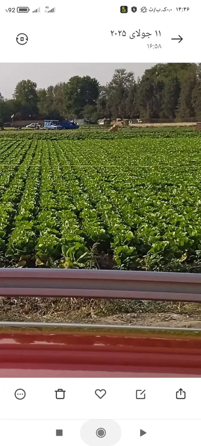 نیاز به نیروئ کار|استخدام خدمات فروشگاه و رستوران|تهران, پردیسان|دیوار