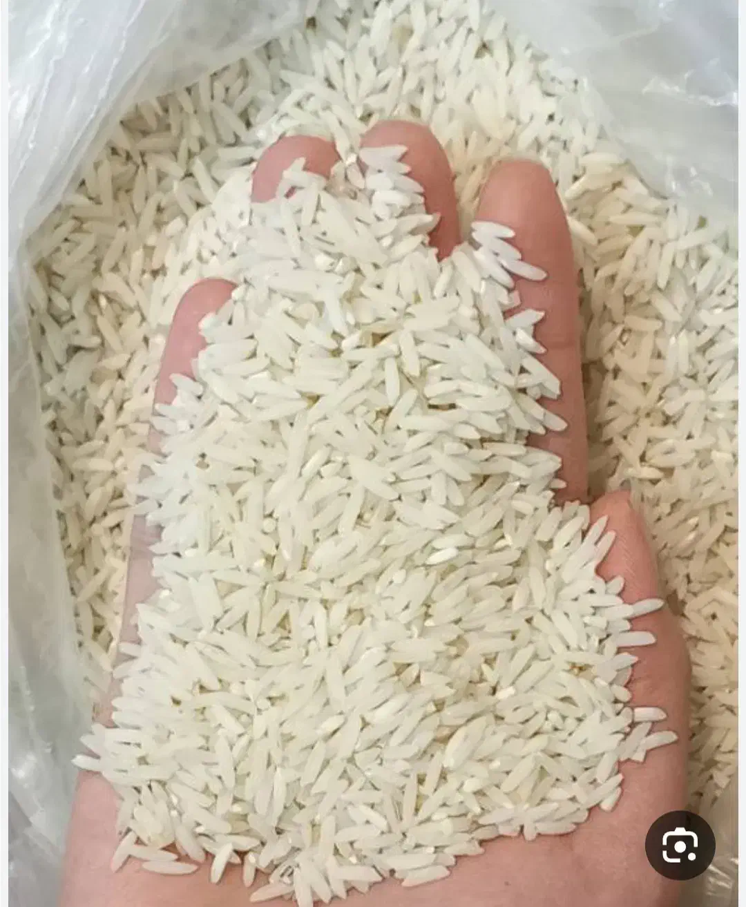 برنج ندا|خوردنی و آشامیدنی|خان ببین, |دیوار