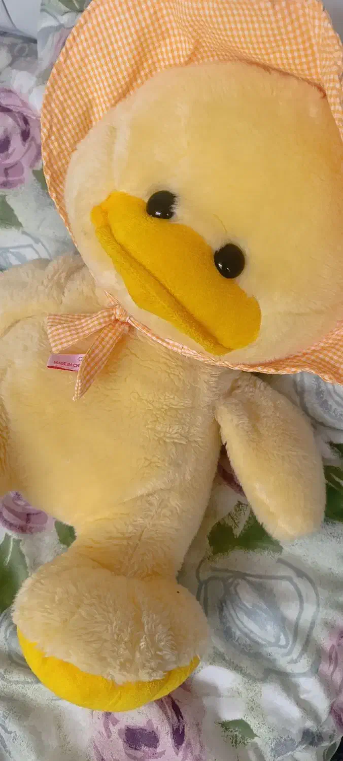 عروسک نو|اسباب‌بازی بچه|کرمانشاه, |دیوار