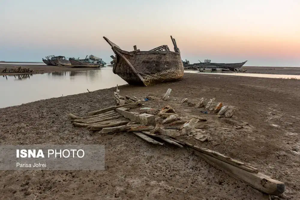 تور بوشهر به مناسبت ولادت فاطمه زهرا وروززن|تور و چارتر|بندر ماهشهر, |دیوار