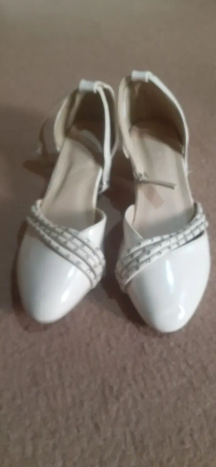 کفش مجلسی|کیف، کفش، کمربند|بوکان, |دیوار