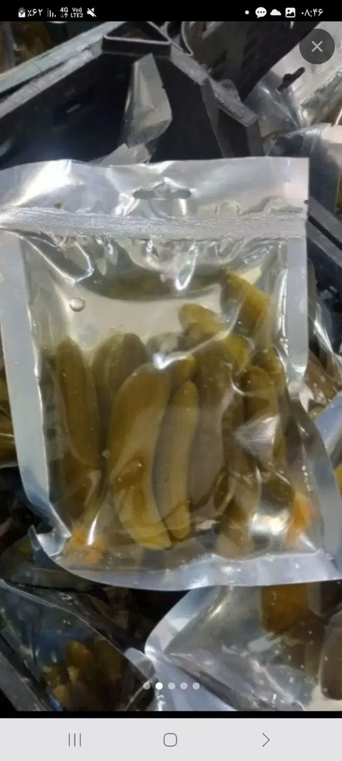 خیارشور وکیوم|خوردنی و آشامیدنی|بروجرد, |دیوار