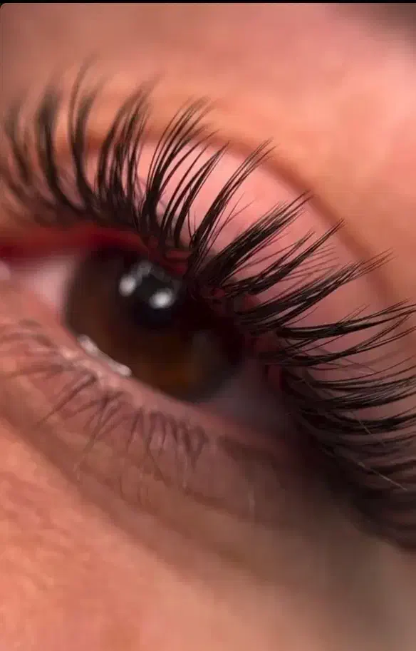 مهم|خدمات آموزشی|زابل, |دیوار