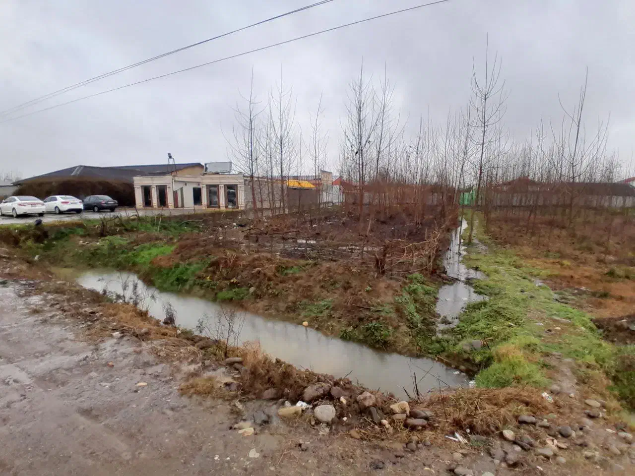 ۱۲۰۰ زمین بر جاده اصلی رشت به استارا|فروش زمین و ملک کلنگی|تولم شهر, |دیوار