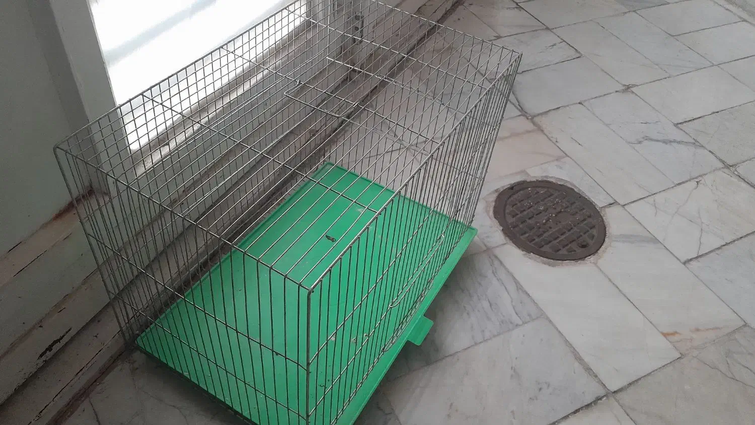 قفس|لوازم جانبی حیوانات|قم, حاج خلیل|دیوار