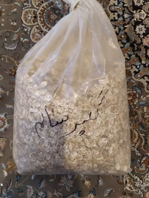 گلپر سالم یک کیلو و ۸۰۰|خوردنی و آشامیدنی|کنگاور, |دیوار