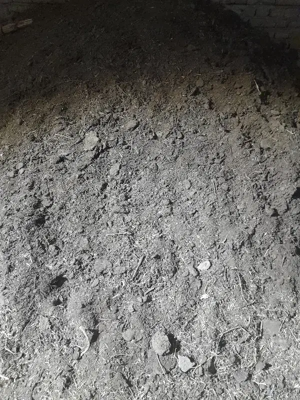 کود و پهن گوسفندی|خدمات باغبانی و درختکاری|فیروزآباد (آذربایجان), |دیوار