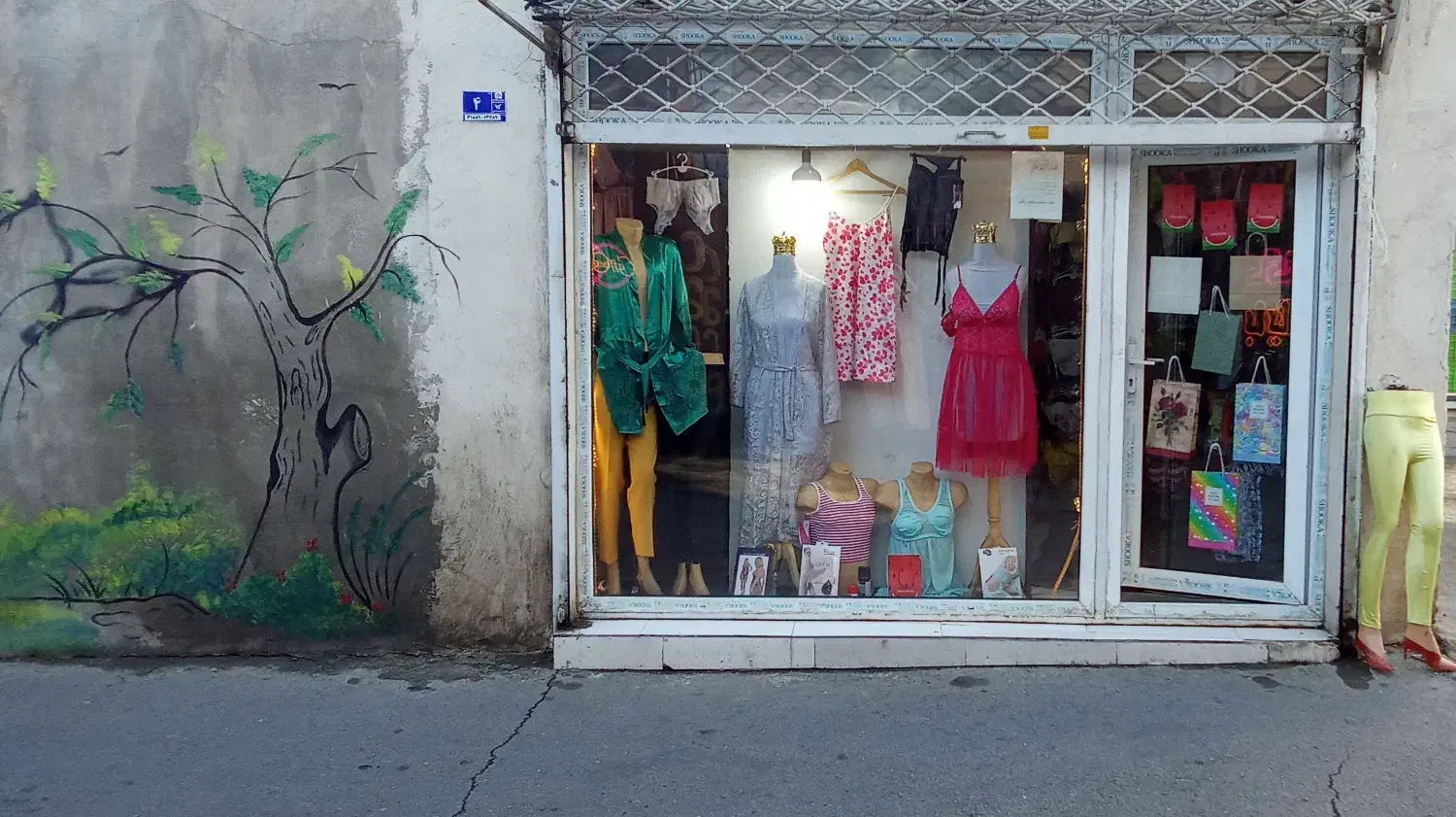 ست سوتین فانتزی،بادیهای فانتزی،انپاع شورت|لباس|ماهدشت, |دیوار