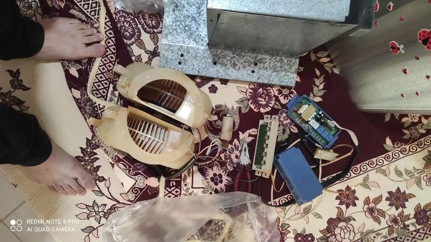 هود|هود|اردبیل, |دیوار