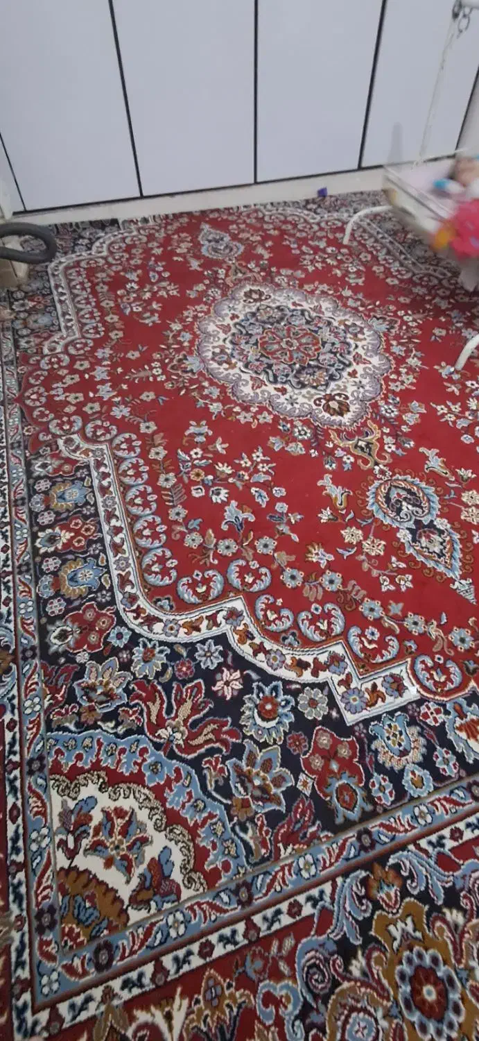 دو عدد قالی ۱۲ متری ویکی ۶ متری|فرش|اهواز, کمپلو جنوبی|دیوار