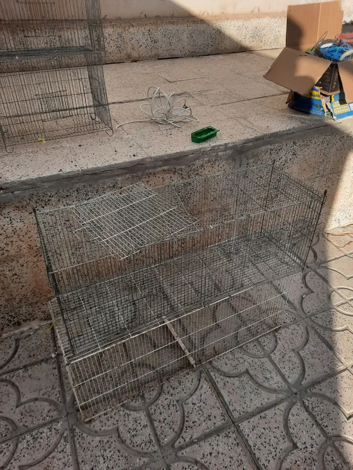 دوعدد جوجه پران ۶ عدد ساده|پرنده|اهر, |دیوار