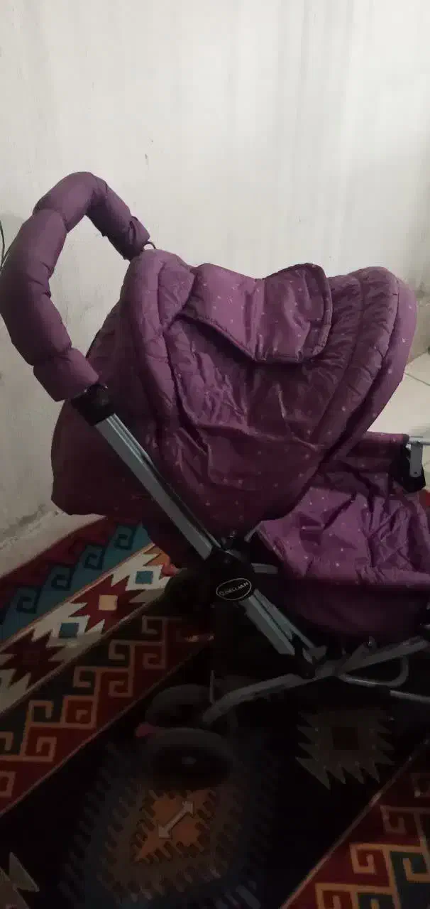 کالسکه و کریر دلیجان|کالسکه و لوازم جانبی|فردیس, منظریه|دیوار