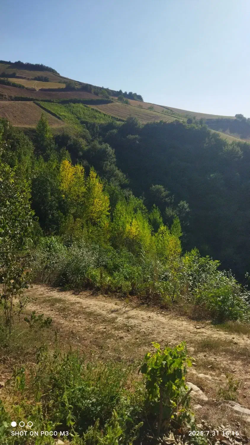 دوچرخه پیدا شده|اشیا|گرگان, |دیوار