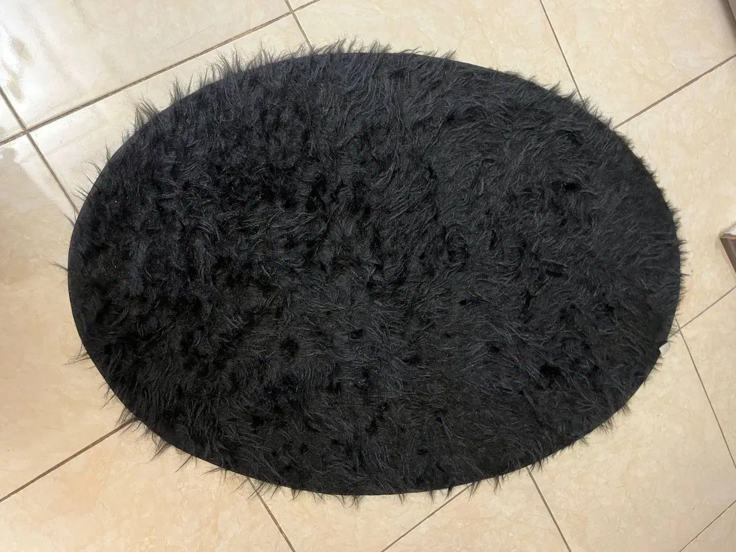 ۲ عدد پادری جدید|پادری|رودهن, |دیوار