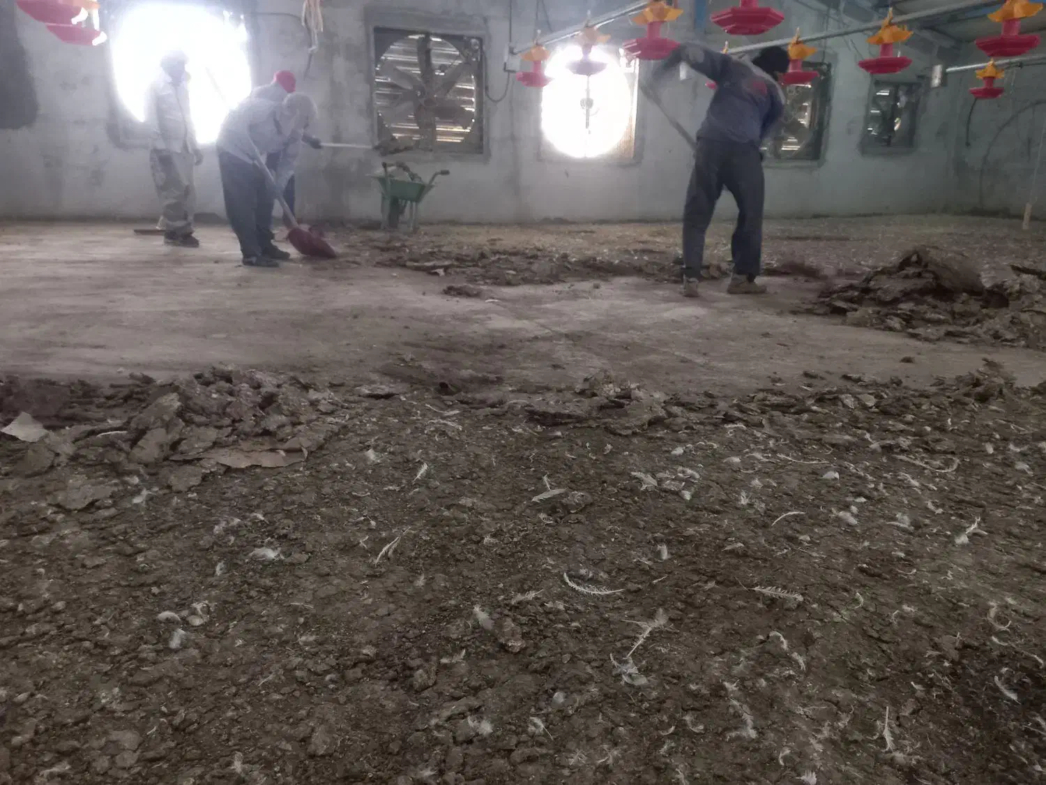 ۰۰۰۰|خدمات باغبانی و درختکاری|دوگنبدان, |دیوار