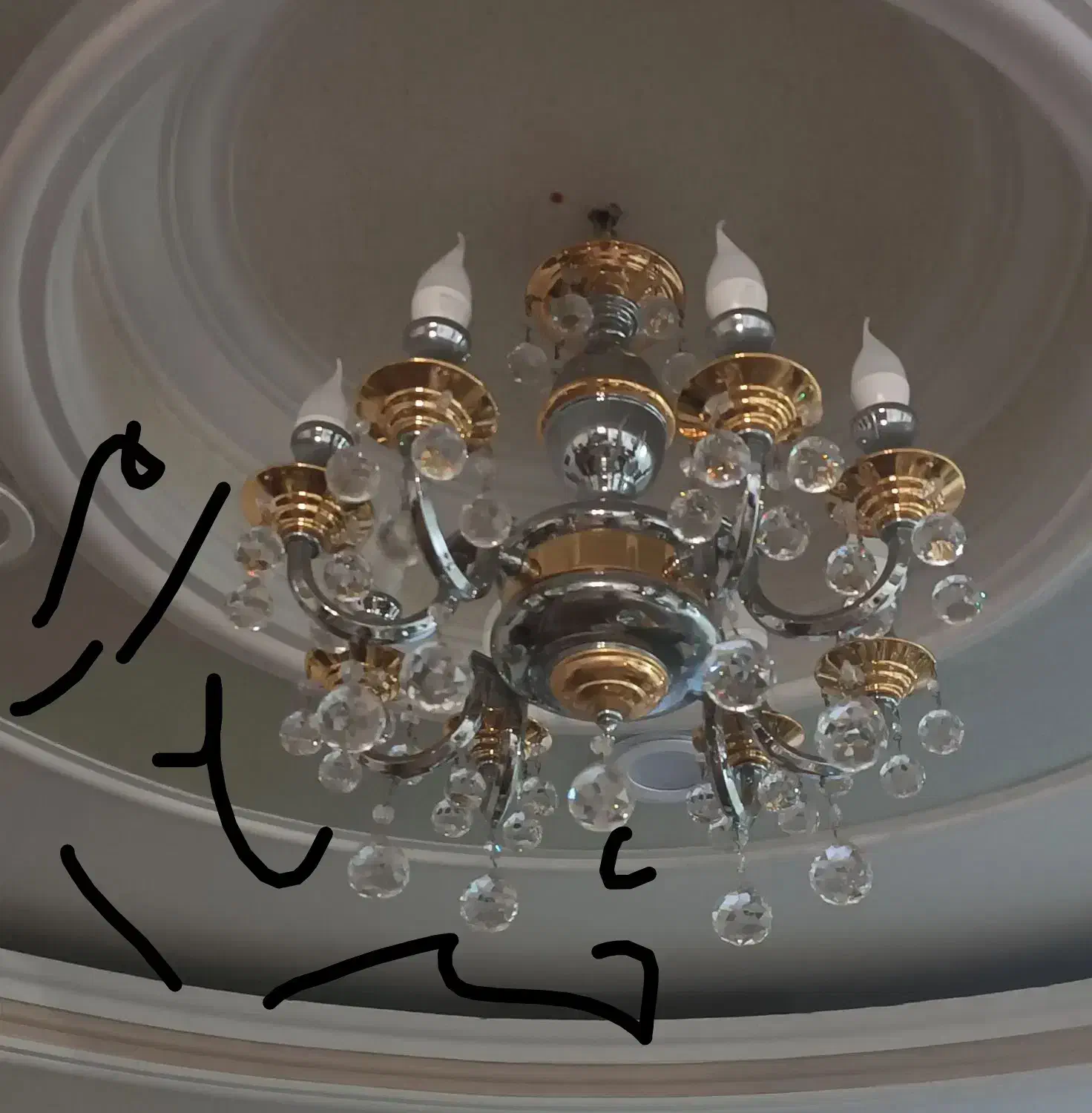 ۸شاخه کریستالی|لوستر و چراغ آویز|کرج, مهرویلا جنوبی|دیوار