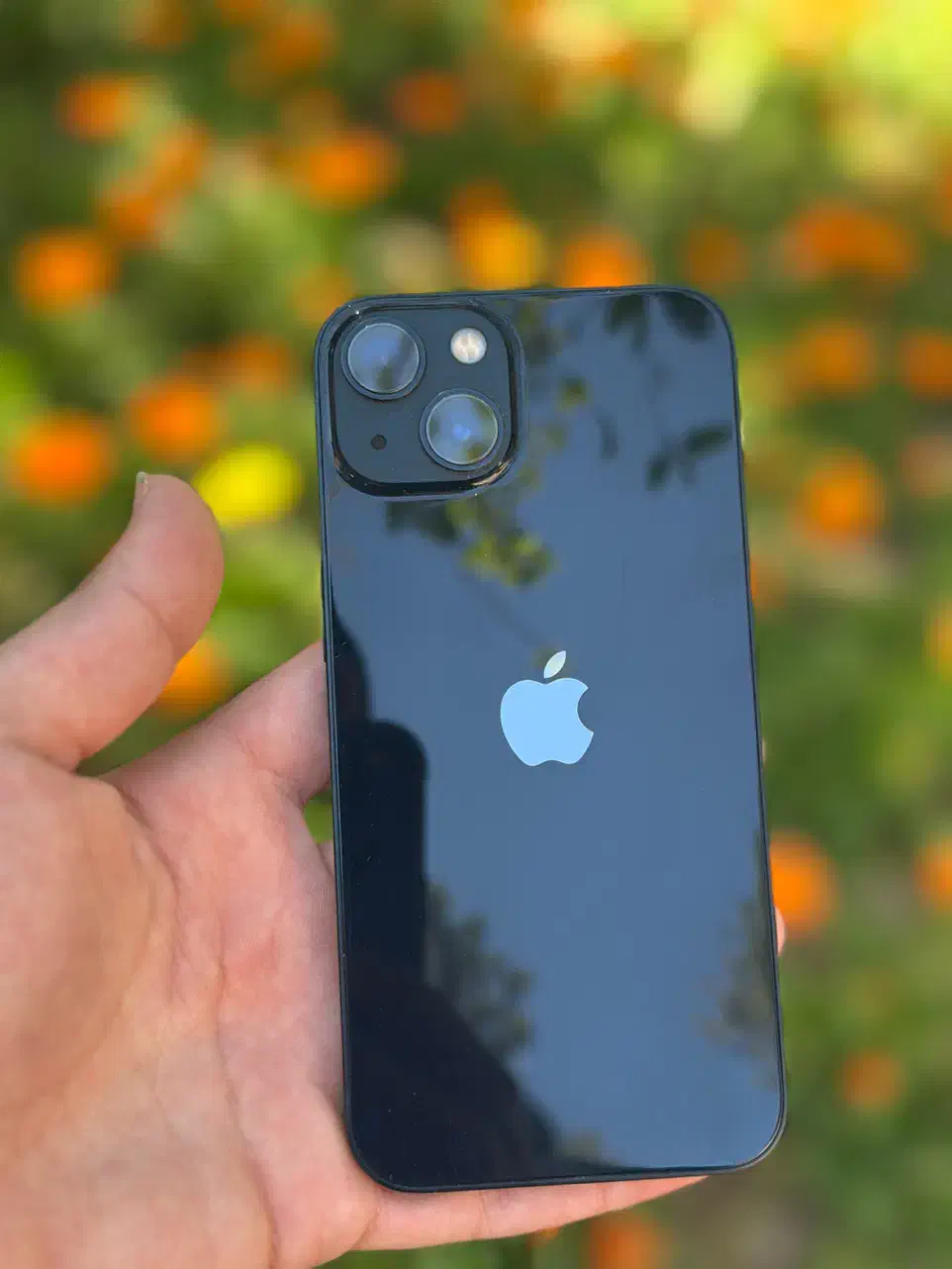 iPhone 13 normal|موبایل|دامغان, |دیوار