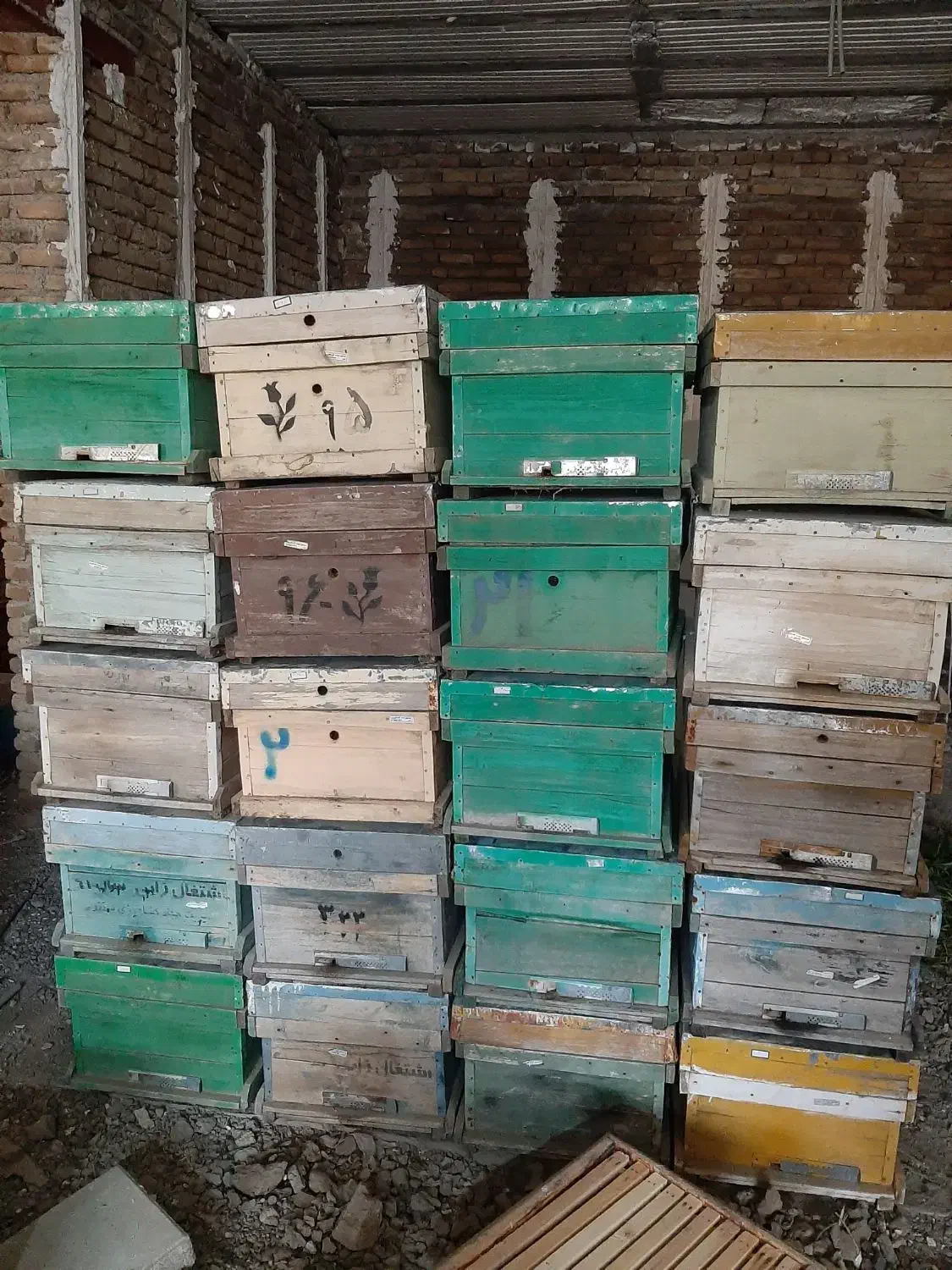 کندو زنبور عسل|حیوانات مزرعه|سنندج, |دیوار