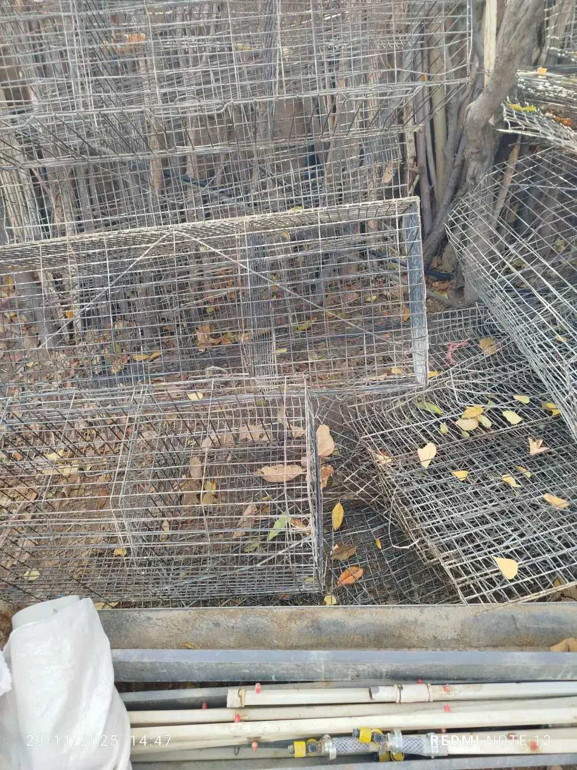 قفس مرغ|لوازم جانبی حیوانات|خرمدره, |دیوار