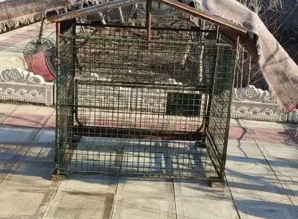 قفس آهنی|لوازم جانبی حیوانات|رباط‌کریم, شترخوار|دیوار