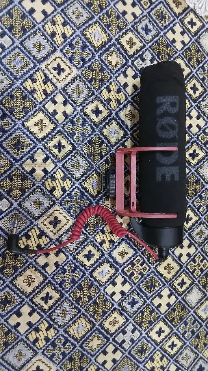 میکروفن دوربین|دوربین عکاسی و فیلم‌برداری|لنگرود, |دیوار