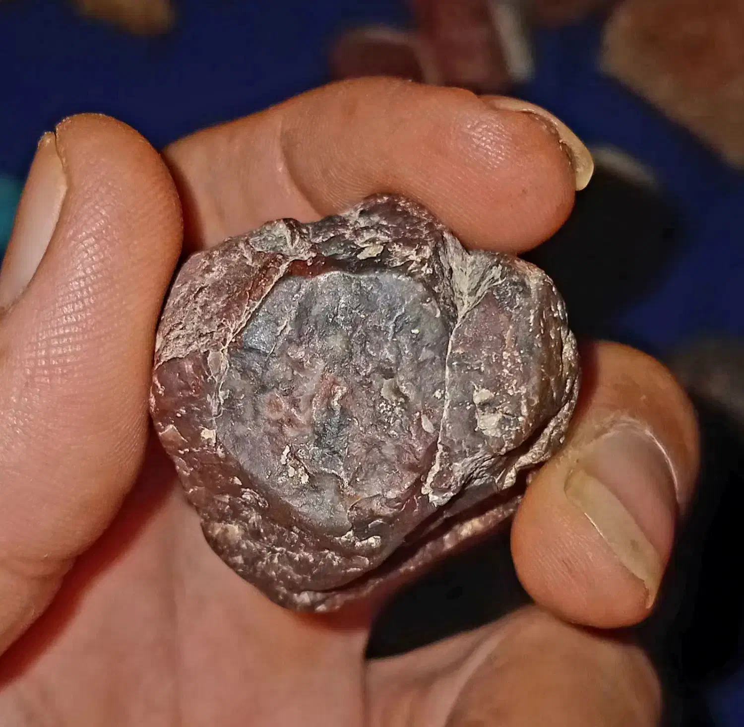 سنگ زینتی|جواهرات|شاهرود, |دیوار