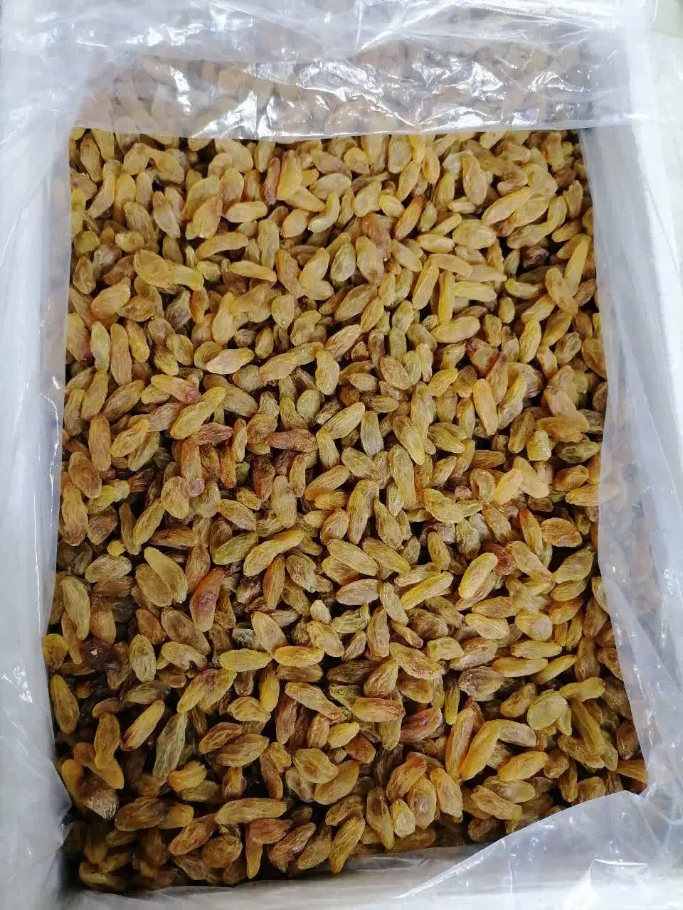 کشمش آفتابی و اعلا مستقیم از تاکستان گردو اعلا|خوردنی و آشامیدنی|نیشابور, دارایی|دیوار