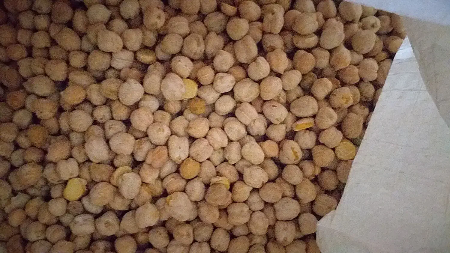 نخود دیمی|خوردنی و آشامیدنی|فریدونشهر, |دیوار