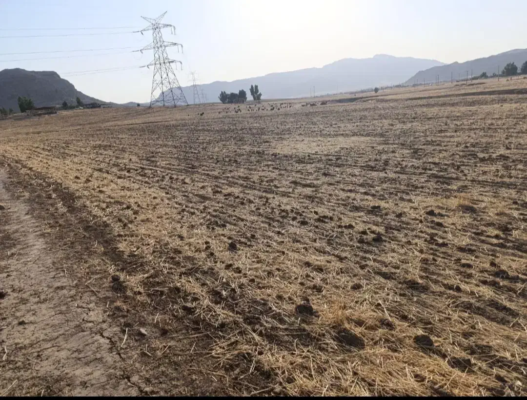 فروش زمین کشاورزی پیان|فروش دفتر صنعتی، کشاورزی، تجاری|ایذه, |دیوار