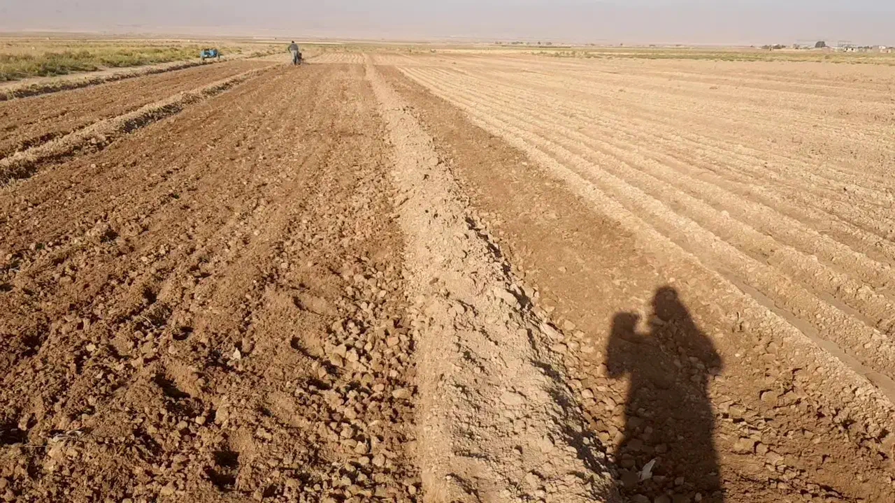 فروش زمین کشاورزی|فروش دفتر صنعتی، کشاورزی، تجاری|چناران, |دیوار