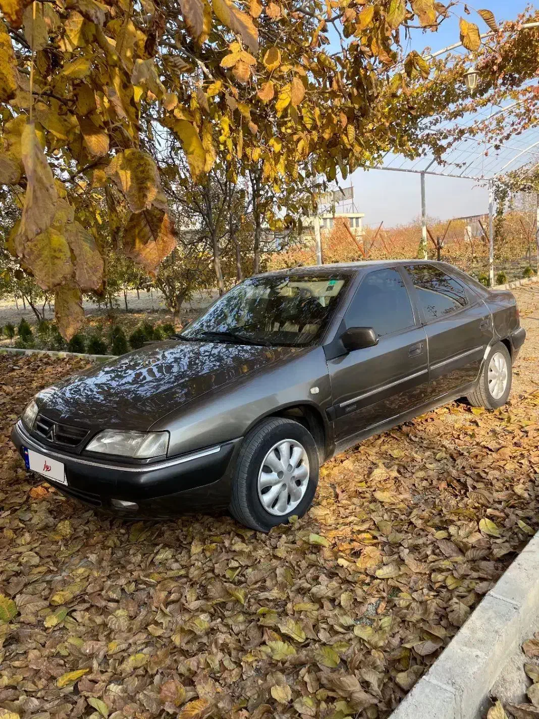 زانتیا ۸۹|خودرو سواری و وانت|ارومیه, |دیوار