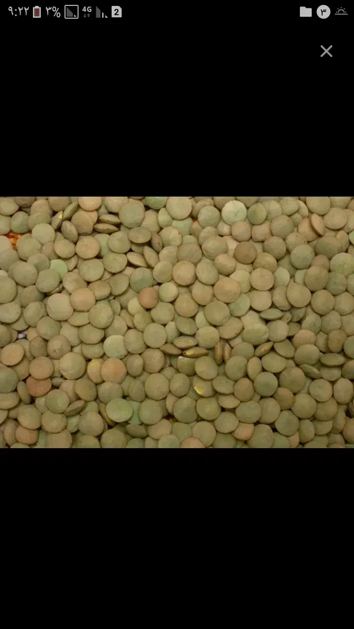 عدس|خوردنی و آشامیدنی|بزینه رود, |دیوار